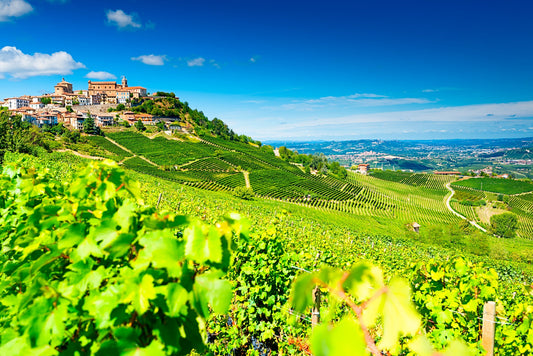 PIEMONTE - ITALIENS VINMÄSSIGA JUVEL